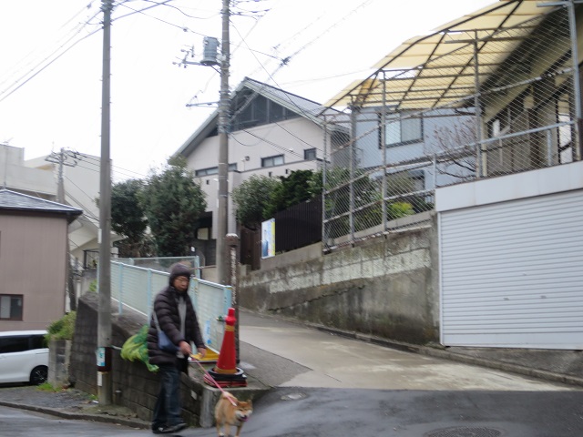 丘への登り口